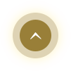 Back To Top